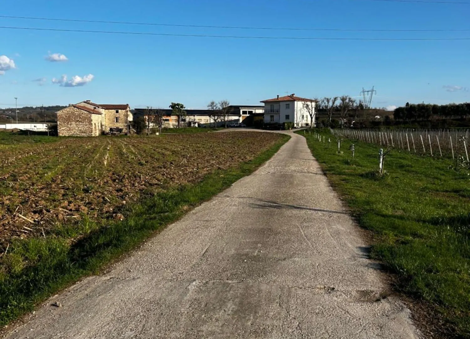 Agriturismo Le Marognole Colà Włochy